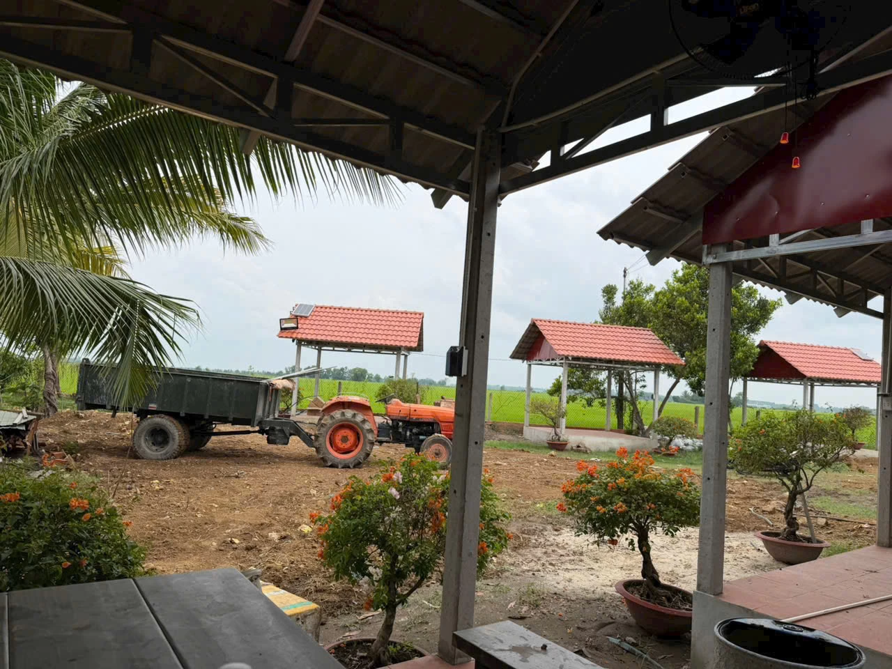 Hình ảnh khu đất nền