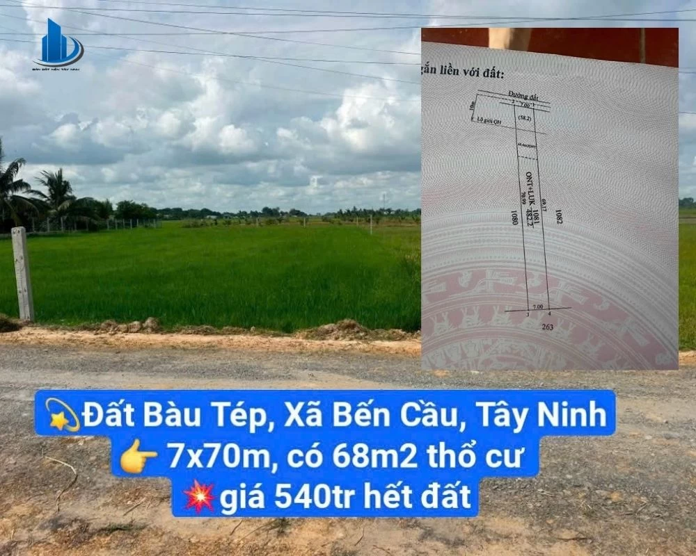 Lô đất 3 - 540 triệu tại khu vực Bến Đình