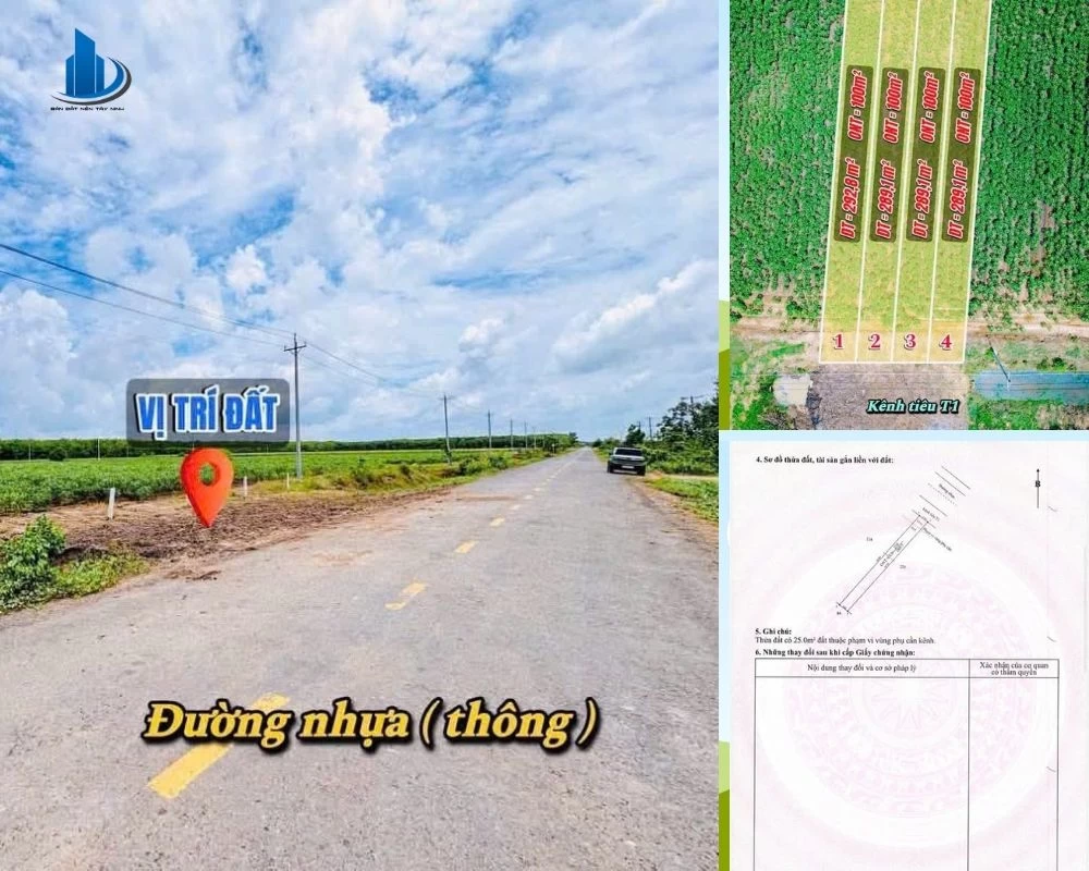 Lô đất 4 - 219 triệu tại Long Phước