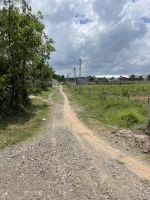 Bán đất thổ cư 250m2 tại đường Bến Đình, Xã Tiên Thuận, Bến Cầu, Tây Ninh chỉ với 410 triệu