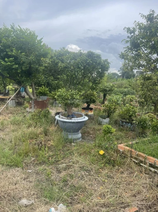 20251027224628-c802_wm