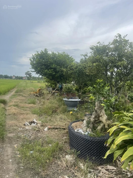 Bán đất tại Xã Long Khánh, Bến Cầu, Tây Ninh, 180 triệu, 170m2 - hot!
