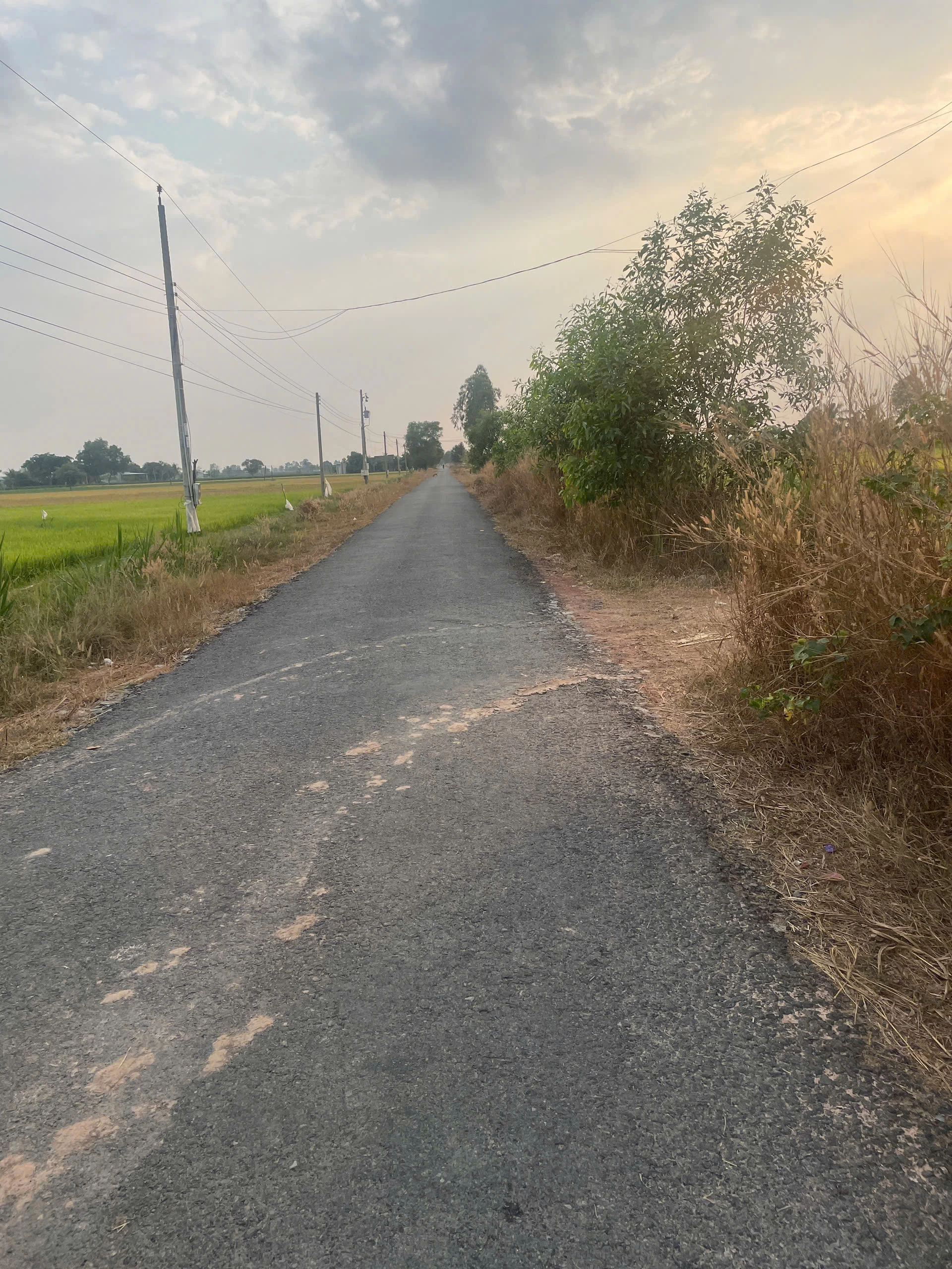 Bán đất thổ cư tại Xã Long Khánh, 215m2 giá bán chỉ có 300 triệu