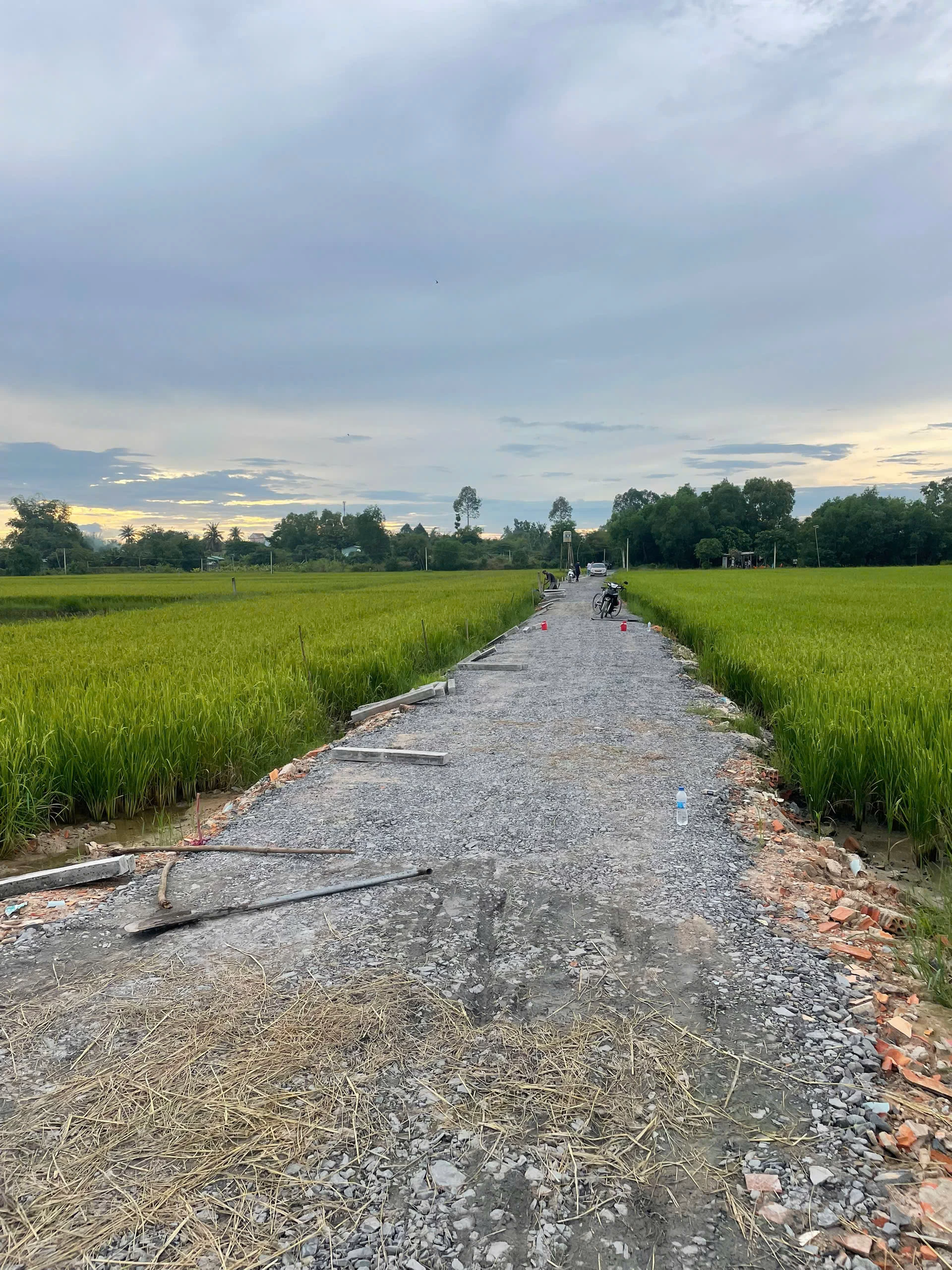 Bán gấp đất tại Xã Tiên Thuận, Bến Cầu, Tây Ninh, giá cực chất 260 triệu, 252m2