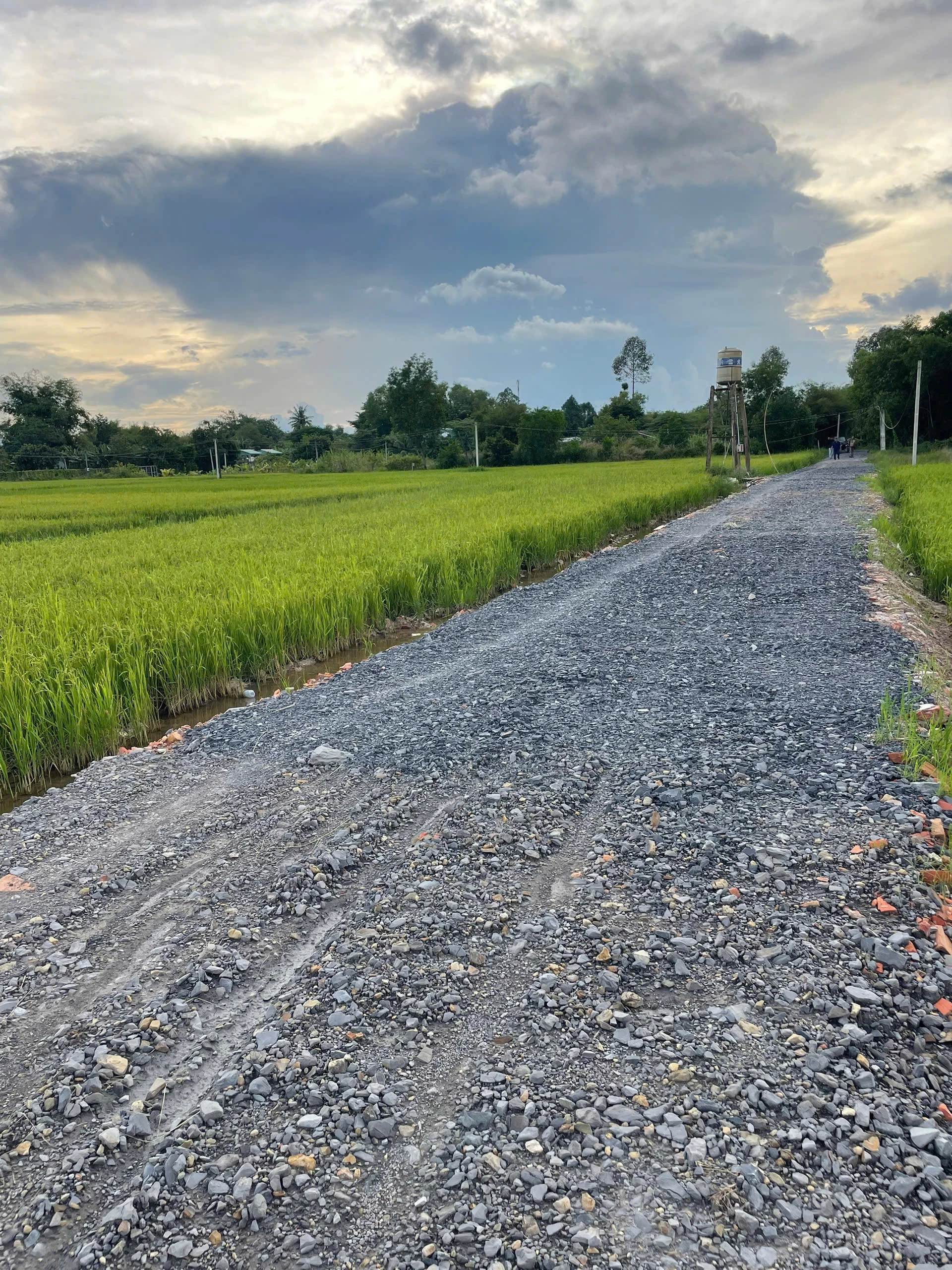 Bán gấp đất tại Xã Tiên Thuận (2)