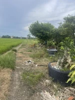 Cách đặt tỳ hưu trên bàn thờ ông Địa