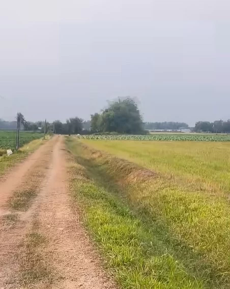 Bán đất thổ cư DT 50x40m2, giá bán 2 tỷ 300 triệu