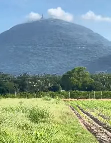 Bán đất vườn Phường Bình Minh