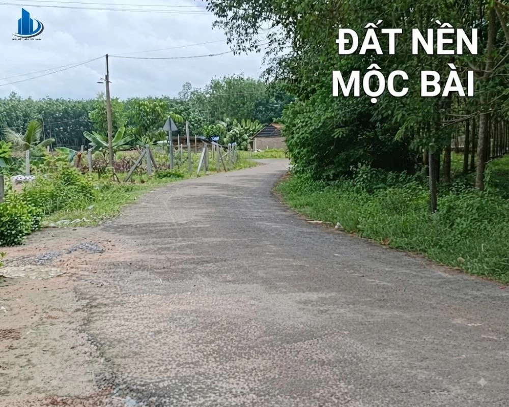 đất nền mộc bài